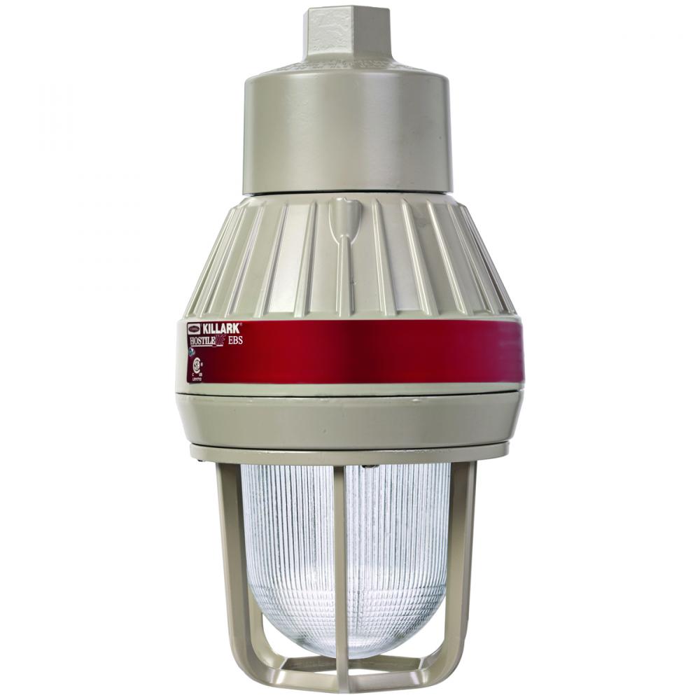 EBS 10W30VDC EL 3/4" PENDANT + GUARD