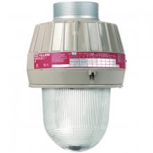 Hubbell Canada EML5030 - EM LED 50W 120-277V FLUTED GL