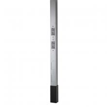 Hubbell Canada HBLPP15A - SERVICE POLE, 15'2", 2 SL DECO, GY