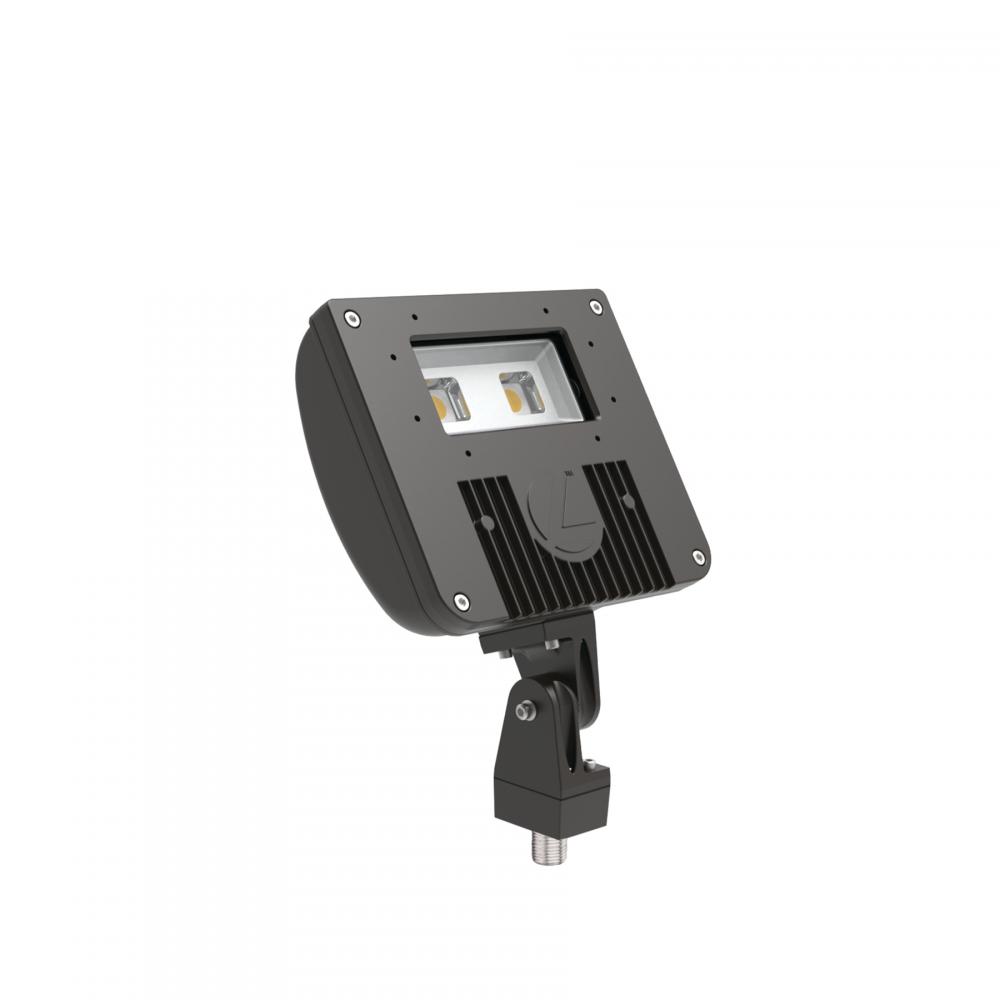 D-Series Size 1 LED Flood Luminaire, LED