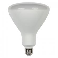 Shat-R-Shield 06211W - 16.5R40/LED/DIM/FL/50 (PK X 12)