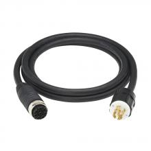 Eaton CBL351-10 - CABLE ASSY UNIV L21-30P 10FT UL