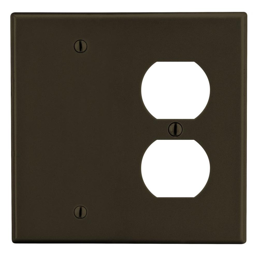 WALLPLATE, 2-G, 1) DUP 1) BLANK, BR