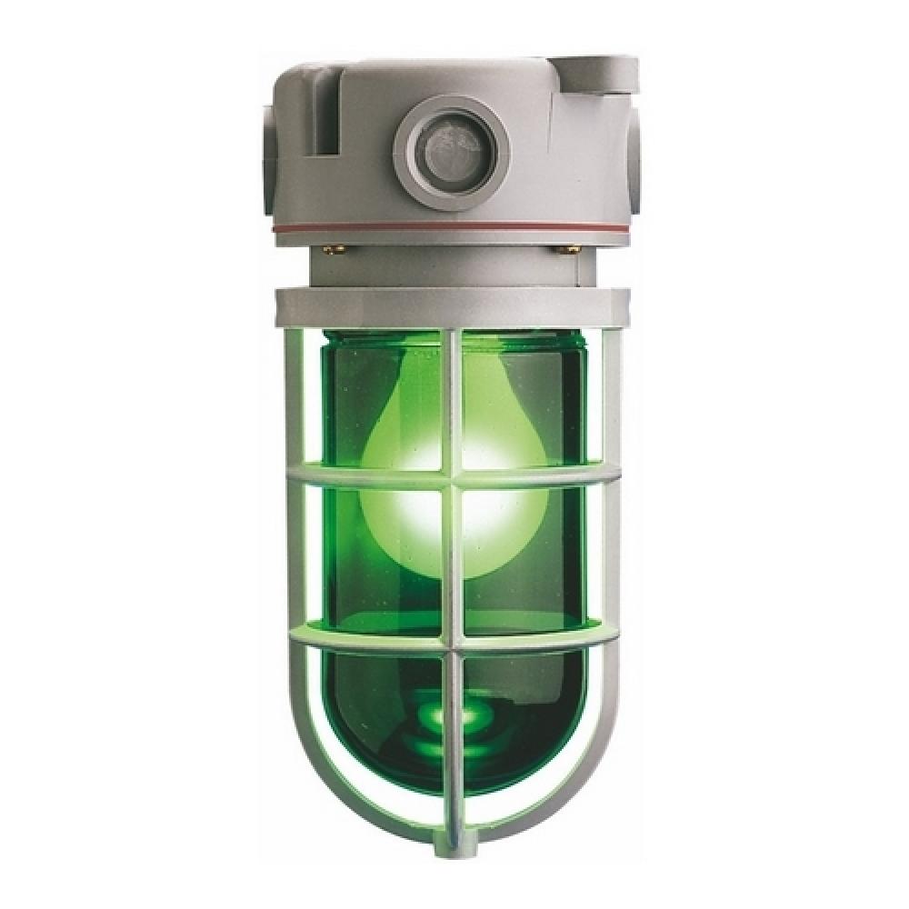 CEIL. MT. 150W PVC UT. LIGHT GREEN HR GG SCEPTAL