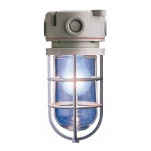 Ipex USA LLC 077579 - CEIL. MT. 150W PVC UT. LIGHT BLUE HR GG SCEPTALI