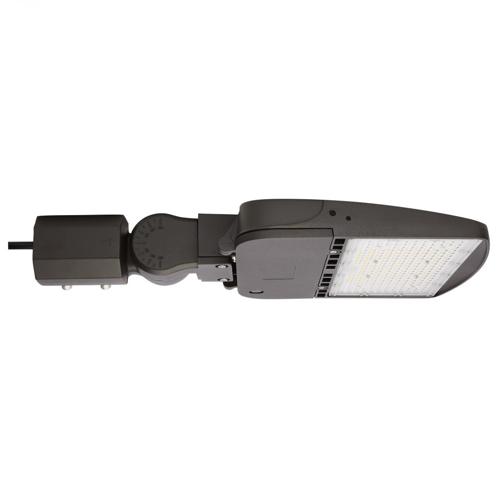 100W LED AREA LIGHT TYPE V