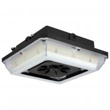 Satco 65/636 - LED WIDE BEAM ANGLE CANOPY