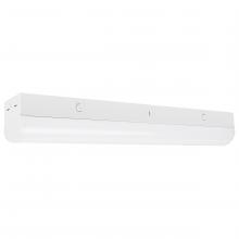 Satco 65/700 - 2' LINEAR STRIP WHITE FINISH