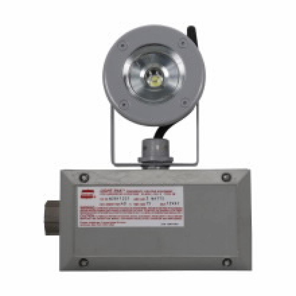 LED EMERGENCY LT REMOTE 1 LAMP ASSM