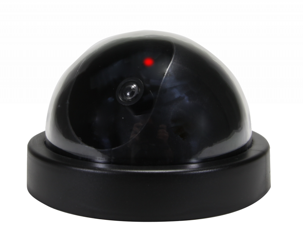 Dome Decoy Camera