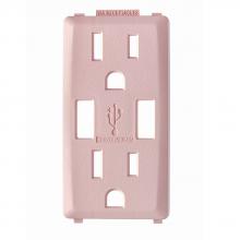 Leviton RKAA1-FP - PL RENU USB CHGER 15A REC FACEPLATE