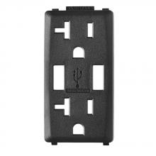 Leviton RKAA2-OB - ONYX BLK RENU USB CHGR 20A REC FACEPL