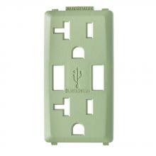 Leviton RKAA2-PS - PS RENU USB CHGER 20A REC FACEPLATE