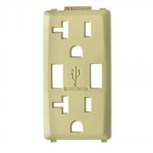 Leviton RKAA2-WG - WHI.WHEAT RENU USB CHGR 20A REC FACEPL