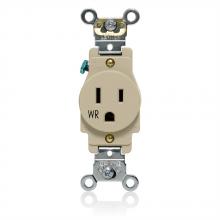 Leviton W5261-I - WR SGL RCPT 15A IVY