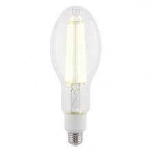 Westinghouse 5253000 - 32 Watt (300 Watt Incandescent Equivalent) ED28