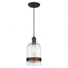 Westinghouse 6129800 - Tarrant One-Light Indoor Mini Pendant