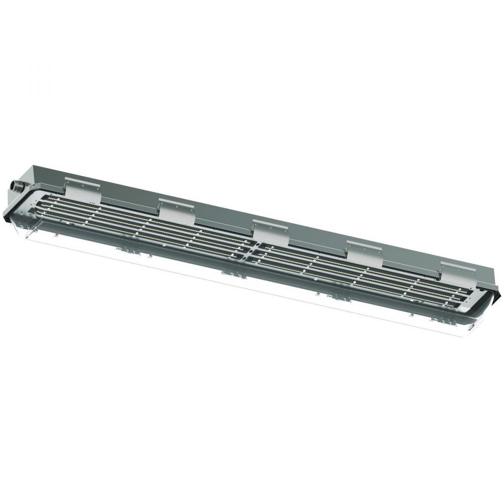 LZ2 80W LED 120-277VAC 50/60HZ 316SS 4'