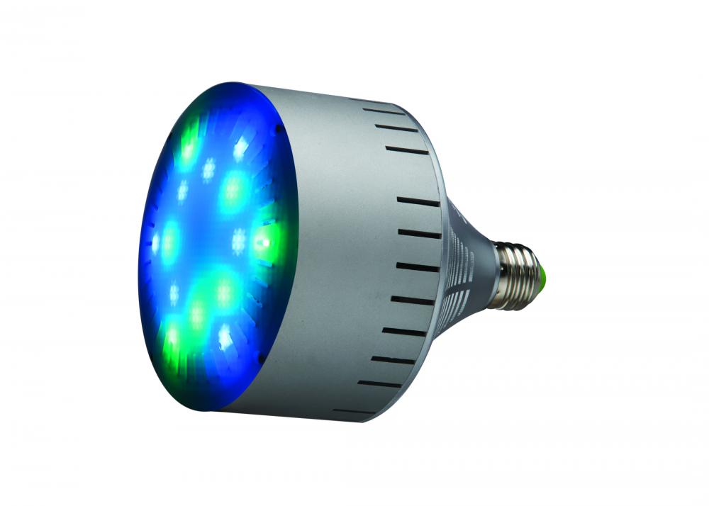 30W PAR 38 Color Changing Pool/Spa Lamp