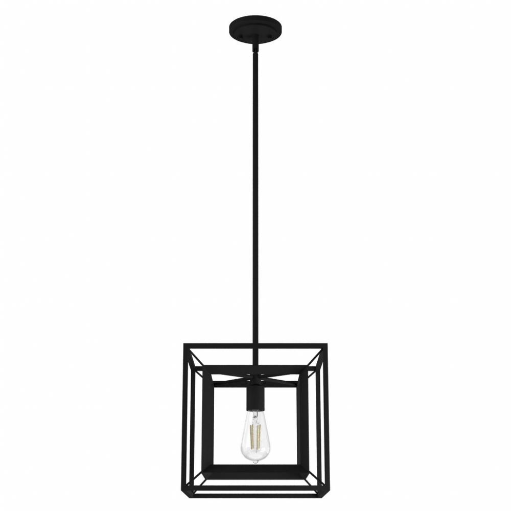 Hunter Doherty Natural Black Iron 1 Light Pendant Ceiling Light Fixture