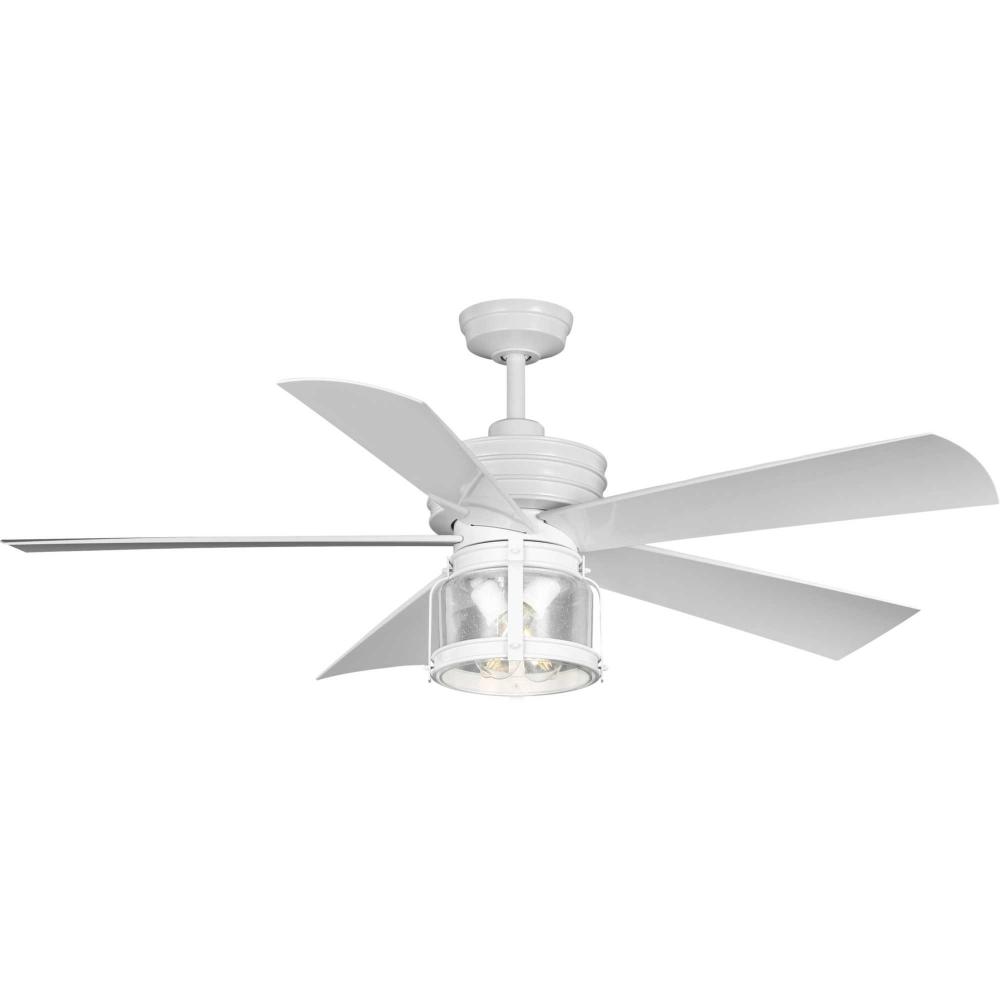 P250011-028-WB 56 IN 5 BLADE FAN