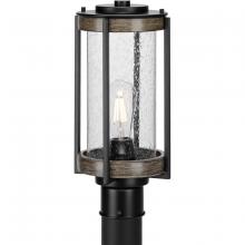 Progress P540094-31M - P540094-31M 1-100W MED POST LANTERN