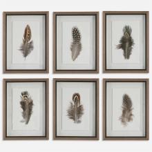 Uttermost 41460 - Uttermost Birds Of A Feather Framed Prints, S/6