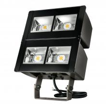 Cooper Lighting Solutions - Canada NFFLD-L-C100-T - NF LARGE C100  TRN