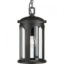 Progress Lighting, a Hubbell affiliate P550050-020 - P550050-020 1-75W MED HANGING LANTERN